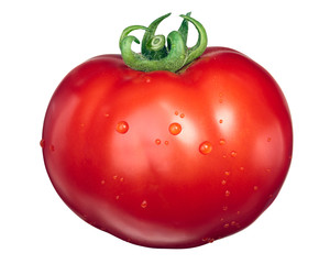 Large Marglobe tomato, top view