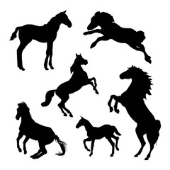 Horse silhouettes on white background