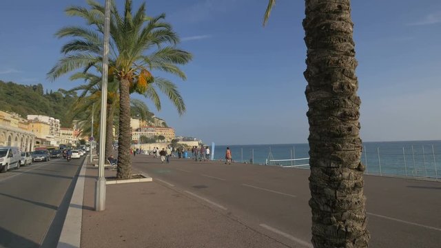 Palm trees on a promenade by the sea