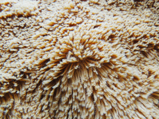 material with long pile as a background, texture of fabric