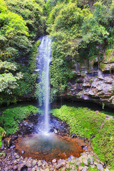 DNP Crystal Shower WF Vert