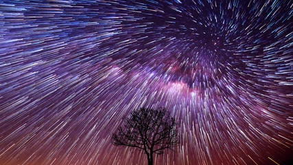 Spiral Star Trails over silhouettes of trees, Night sky with vortex star trails.