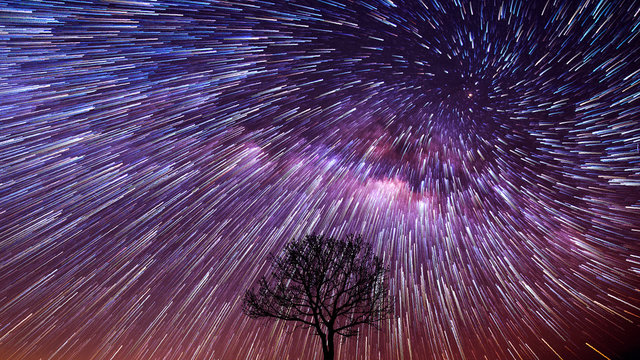 Spiral Star Trails over silhouettes of trees, Night sky with vortex star trails. © tawatchai1990
