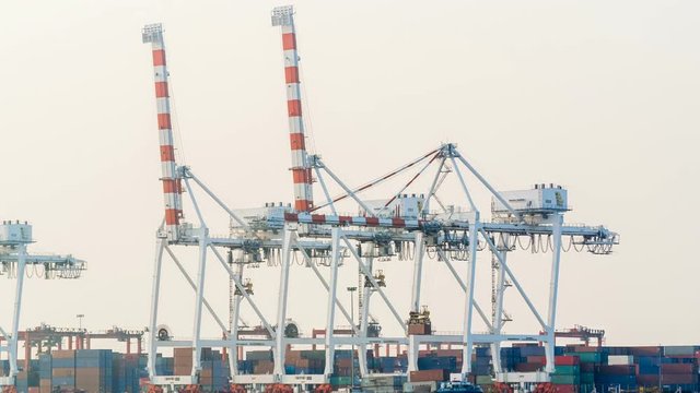 Time lapse of Industrial harbor port container cargo shipping with cranes on sea
