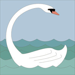 Obraz premium White swan with long neck on a water looking back.