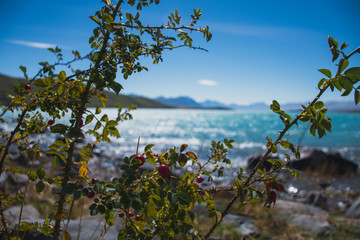 beautiful day at the lake