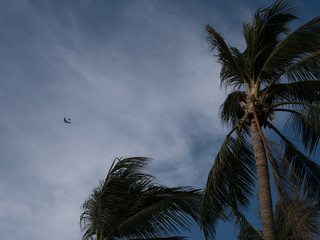 USAF B-52 over palm trees