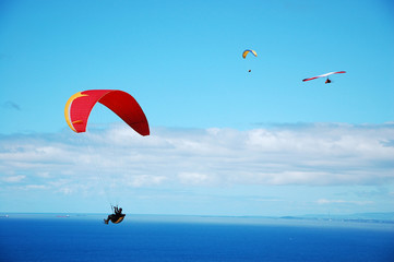 Hang gliding on Sydney coast - 199783723