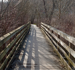 A wooden footpath in the spring in Frick Park, a city maintained park in Pittsburgh, Pennsylvania  