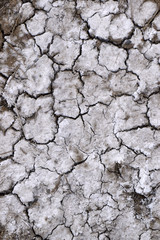 dry, cracked, salty earth 