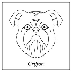 Isolated black outline head of brussels, belgian griffon on white background. Line cartoon breed dog portrait.