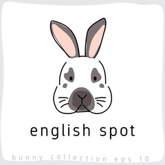 English Spot : Rabbit Breed Collection : Vector Illustration
