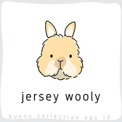 Fototapeta premium Jersey Wooly : Rabbit Breed Collection : Vector Illustration