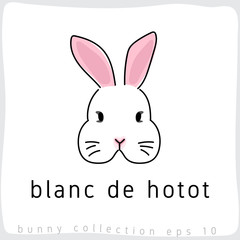 Fototapeta premium Blanc de hotot : Rabbit Breed Collection : Vector Illustration