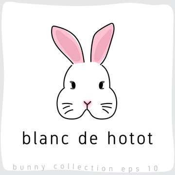 Blanc de hotot : Rabbit Breed Collection : Vector Illustration