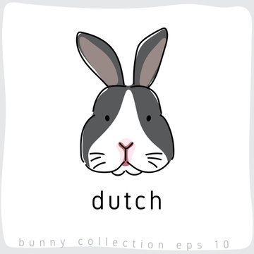 Dutch Rabbit : Rabbit Breed Collection : Vector Illustration