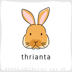 Thrianta : Rabbit Breed Collection : Vector Illustration