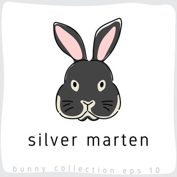 Silver Marten : Rabbit Breed Collection : Vector Illustration