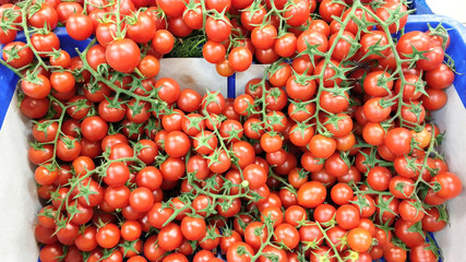 Fresh organic Cherry Tomatoes on Farmers Market 