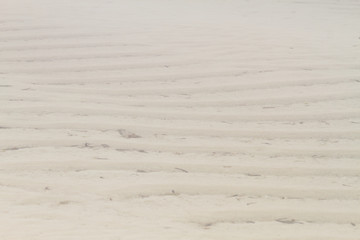 Seaweed farmers in the blue water off the white beaches of the Indian Ocean spice island of Zanzibar