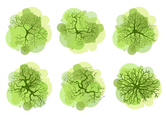 Trees top view for landscape vector illustration.