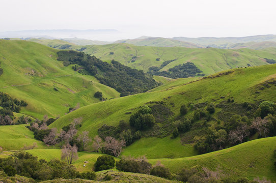 Rolling hills
