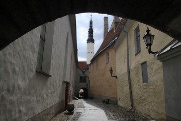 widok z bramy na wąską uliczkę pomiędzy niskimi kamienicami starego miasta w północno wschodniej europie  - obrazy, fototapety, plakaty