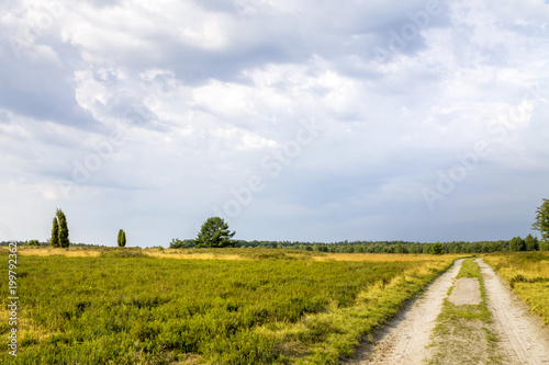 Beste Spielothek in Esbecker Heide finden Beste Spielothek in Esbecker Heide finden