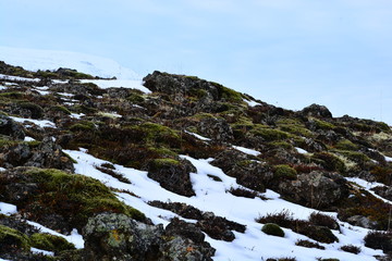 Fototapeta na wymiar Side of a hill in Iceland littered with rocks