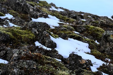 Side of a hill in Iceland littered with rocks