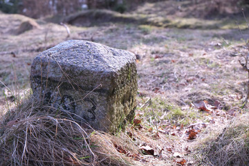 Waldrand