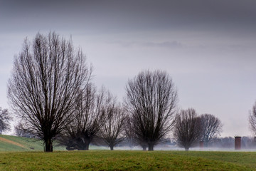 Rheinfeld - 4547.jpg