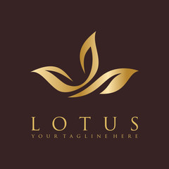 Fototapeta na wymiar Golden Lotus and Luxury Logo Vector Template