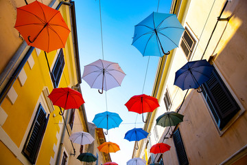 Umbrella