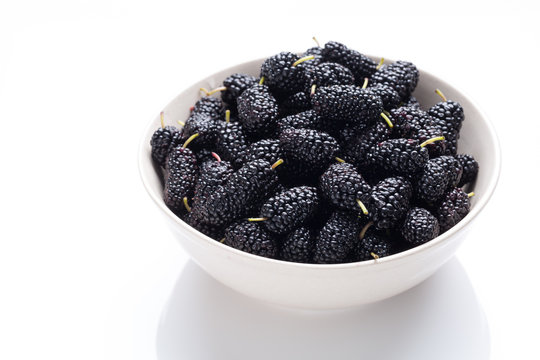 Blackberries in a bowl