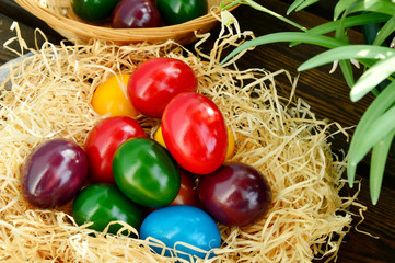 Colorful eggs for Easter time with Galanthus or snow drop flowers 