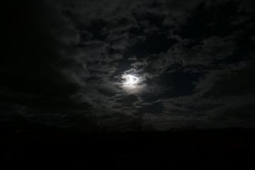 nocturna nubes