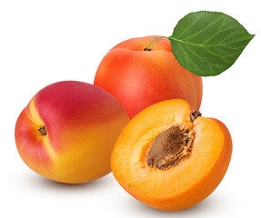 Two fresh ripe apricot with leaf one cut in half with bone