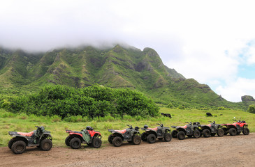 Fototapeta premium ATVs in a Row