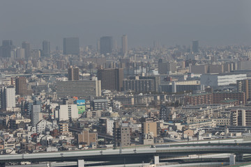Japan Skyline