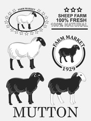 Set of premium lamb labels, mutton, badges and design elements.