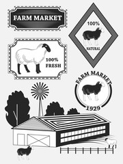 Set of premium lamb labels, mutton, badges and design elements.
