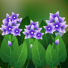 Beautiful Flower, Illustration of Campanula glomerata Flower or Harebell with Green Leaves on Tree Branch.