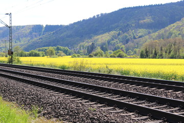 German Nature and Landscapes