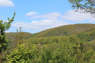 German Nature and Landscapes