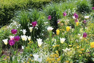 German Nature and Landscapes