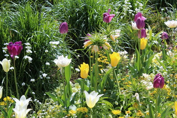 German Nature and Landscapes