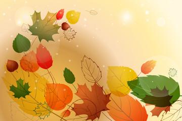 Fototapeta na wymiar Colorful leafs with sample text. Autumn floral background.
