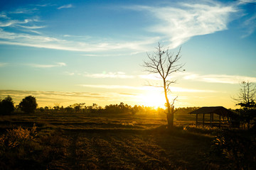 good morning at bright