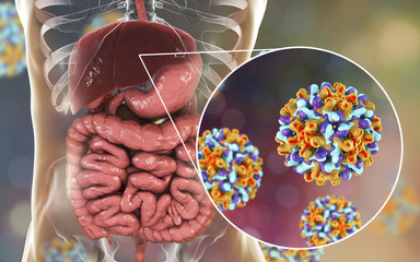 Liver with Hepatitis B infection and close-up view of Hepatitis B Viruses, medical concept, 3D...